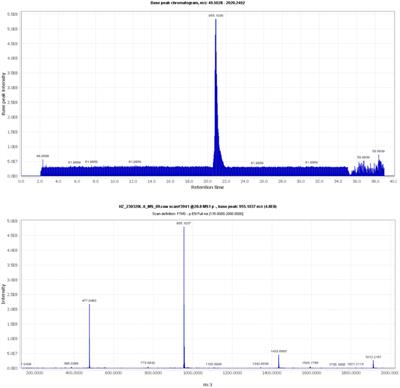 Chebulinic acid isolated from aqueous extracts of Terminalia chebula Retz inhibits Helicobacter pylori infection by potential binding to Cag A protein and regulating adhesion